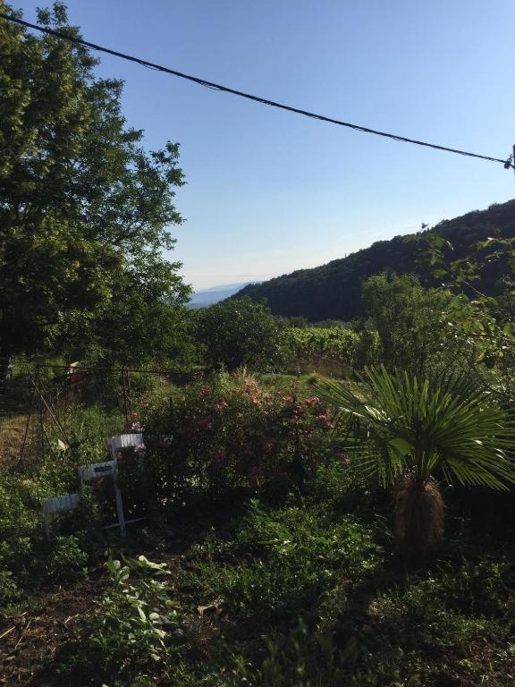 Apartment Dedo, Salara Farmhouse Capodistria Esterno foto