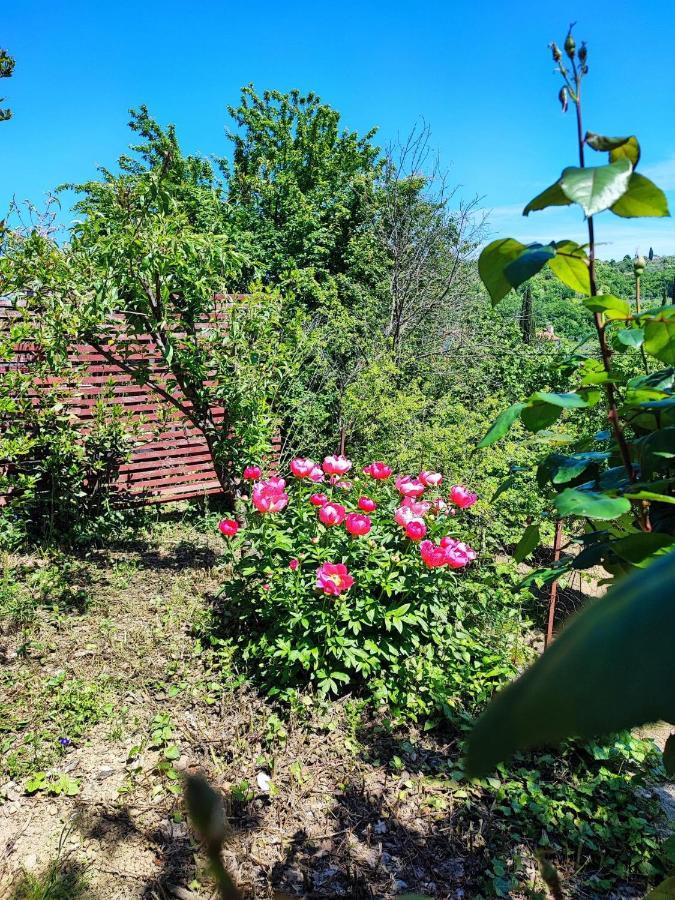 Apartment Dedo, Salara Farmhouse Capodistria Esterno foto